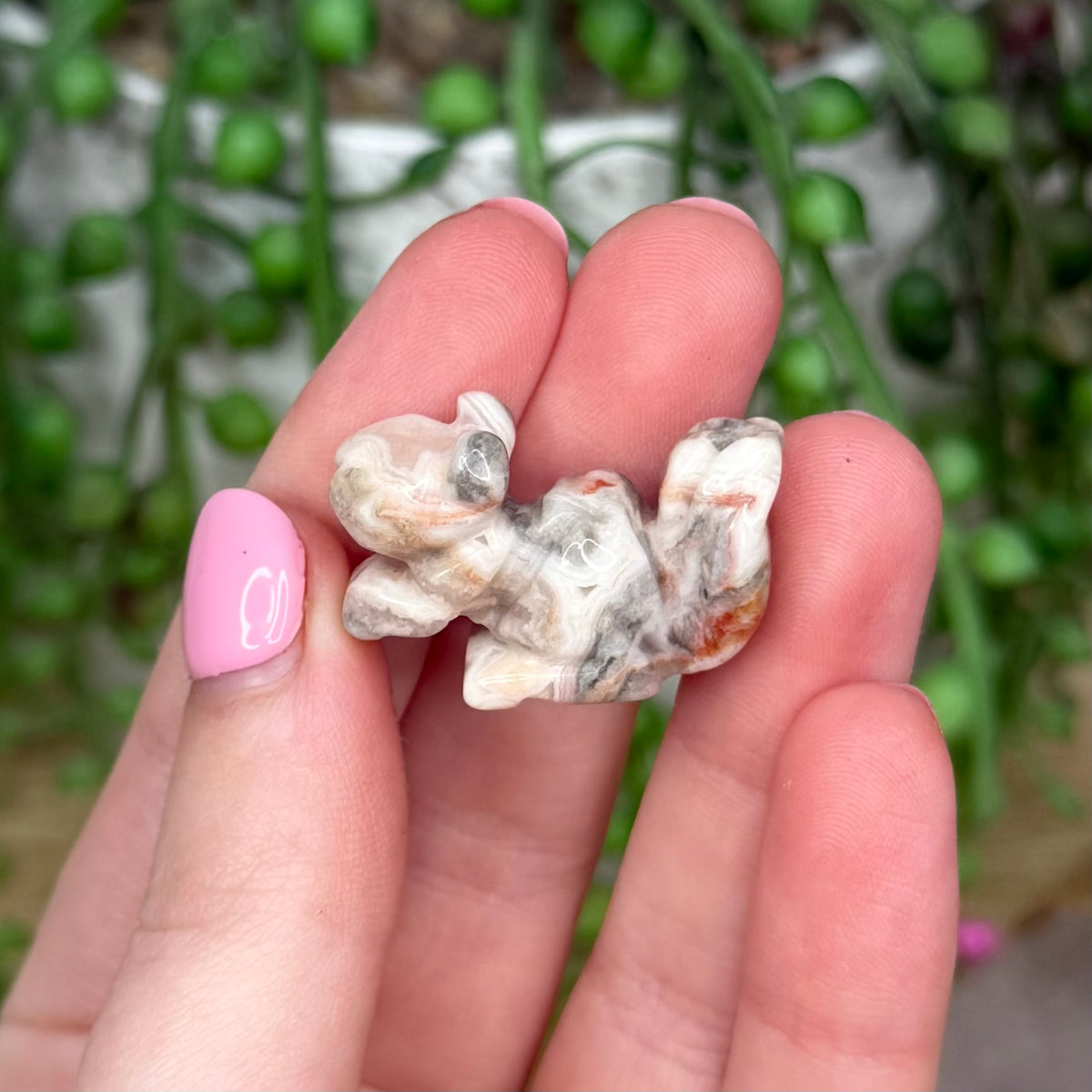 Crazy Lace Agate Small Squirrel