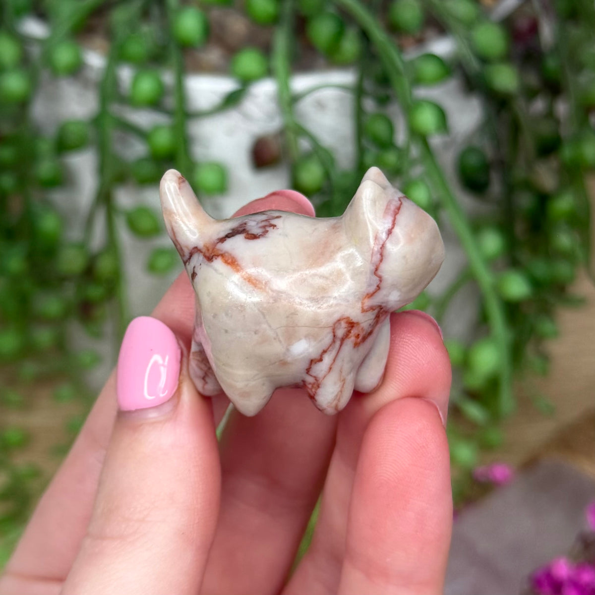 Red Vein Jasper Small Round Cat