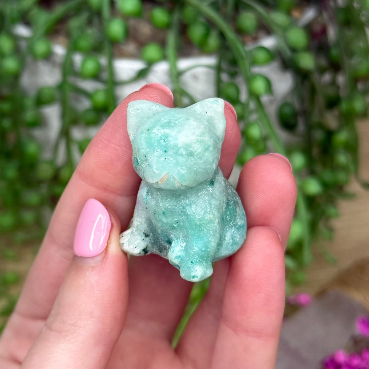 Phoenix French Bulldog (732A)