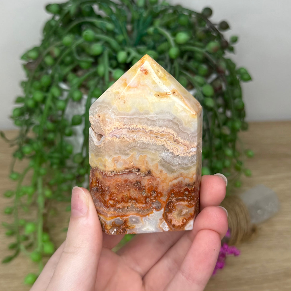 Crazy Lace Agate Domino Point (829A)