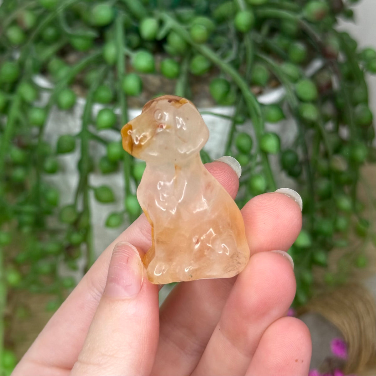 Golden Healer Dog (789A)