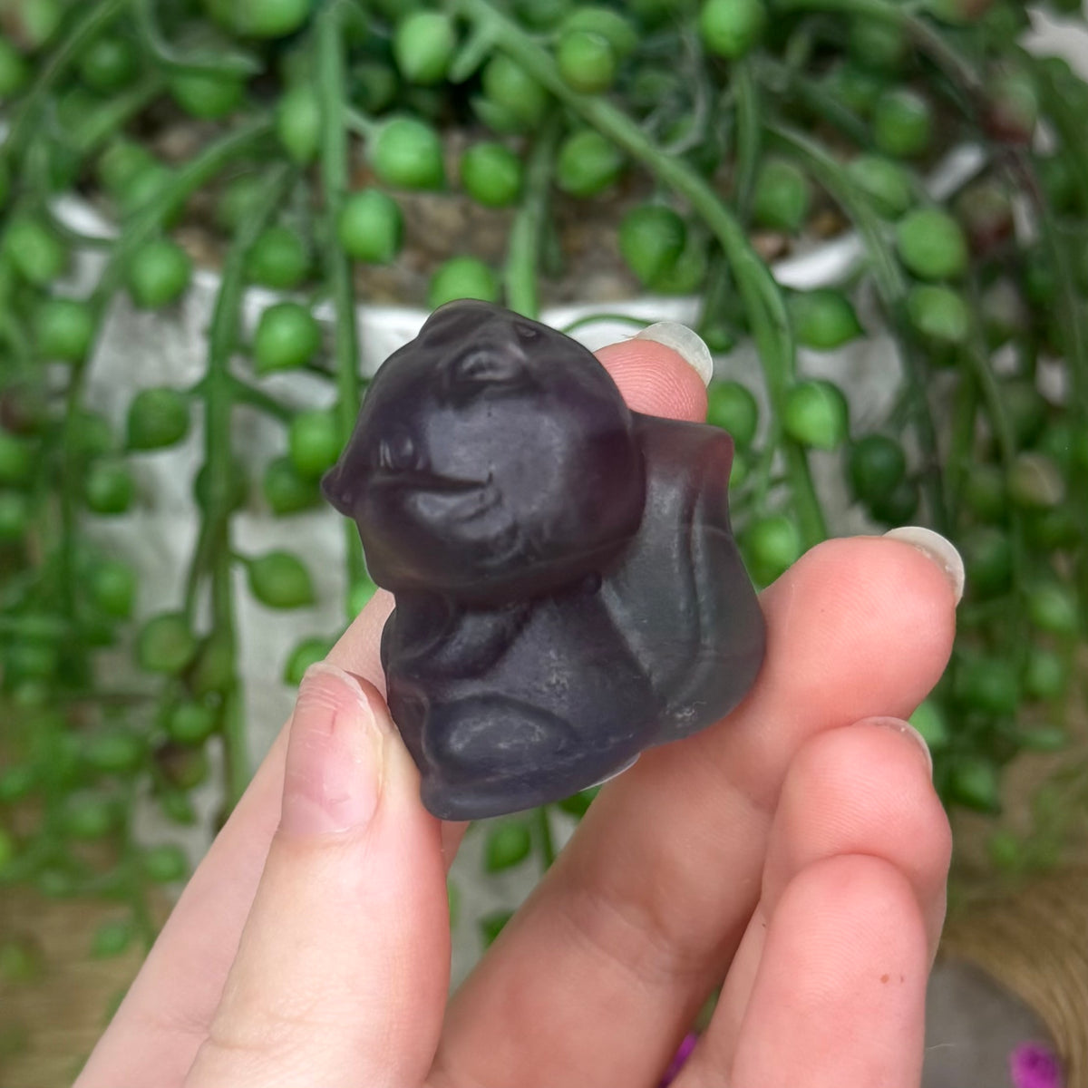Fluorite Chipmunk (847A)