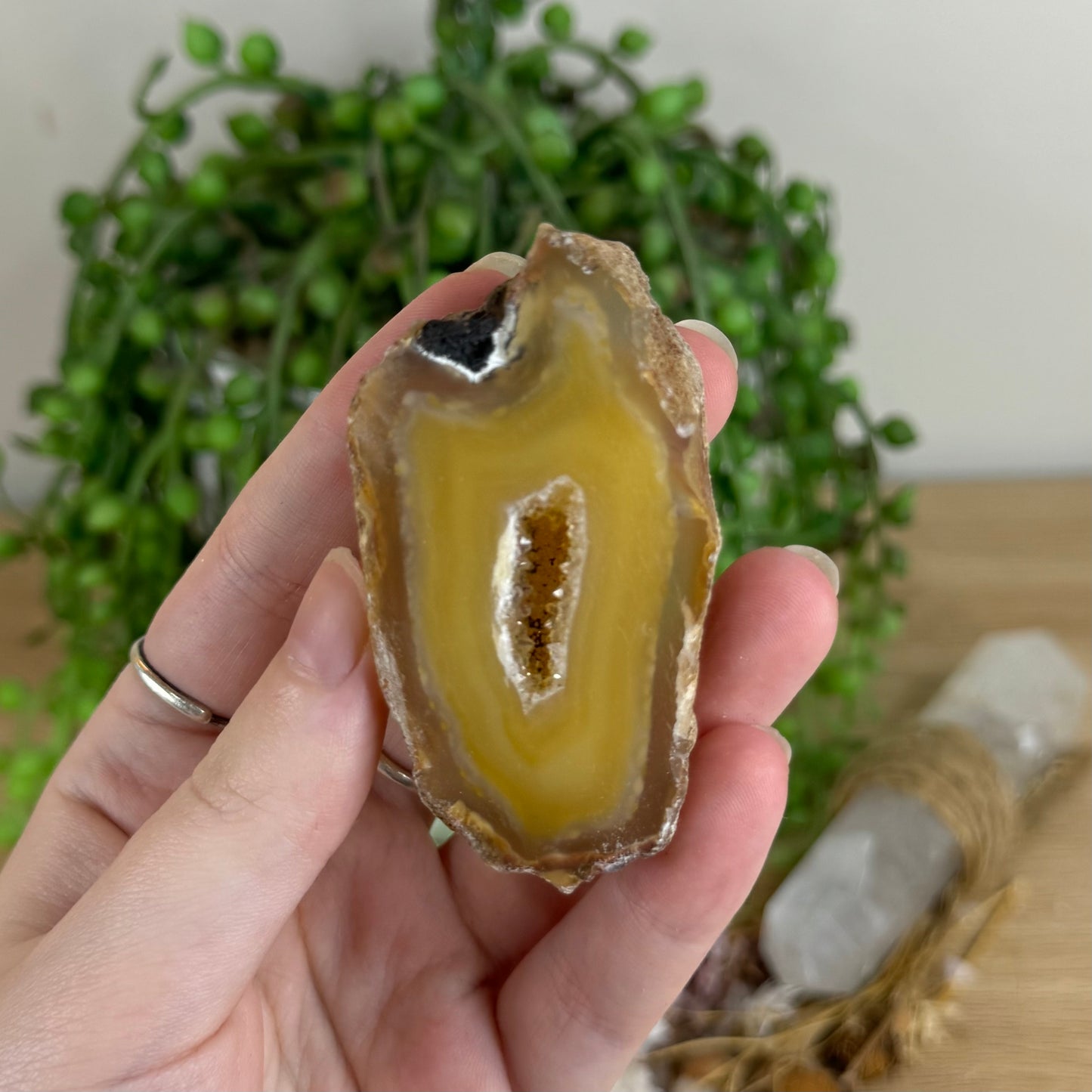 Druzy Agatę Geode Slice (Q657)