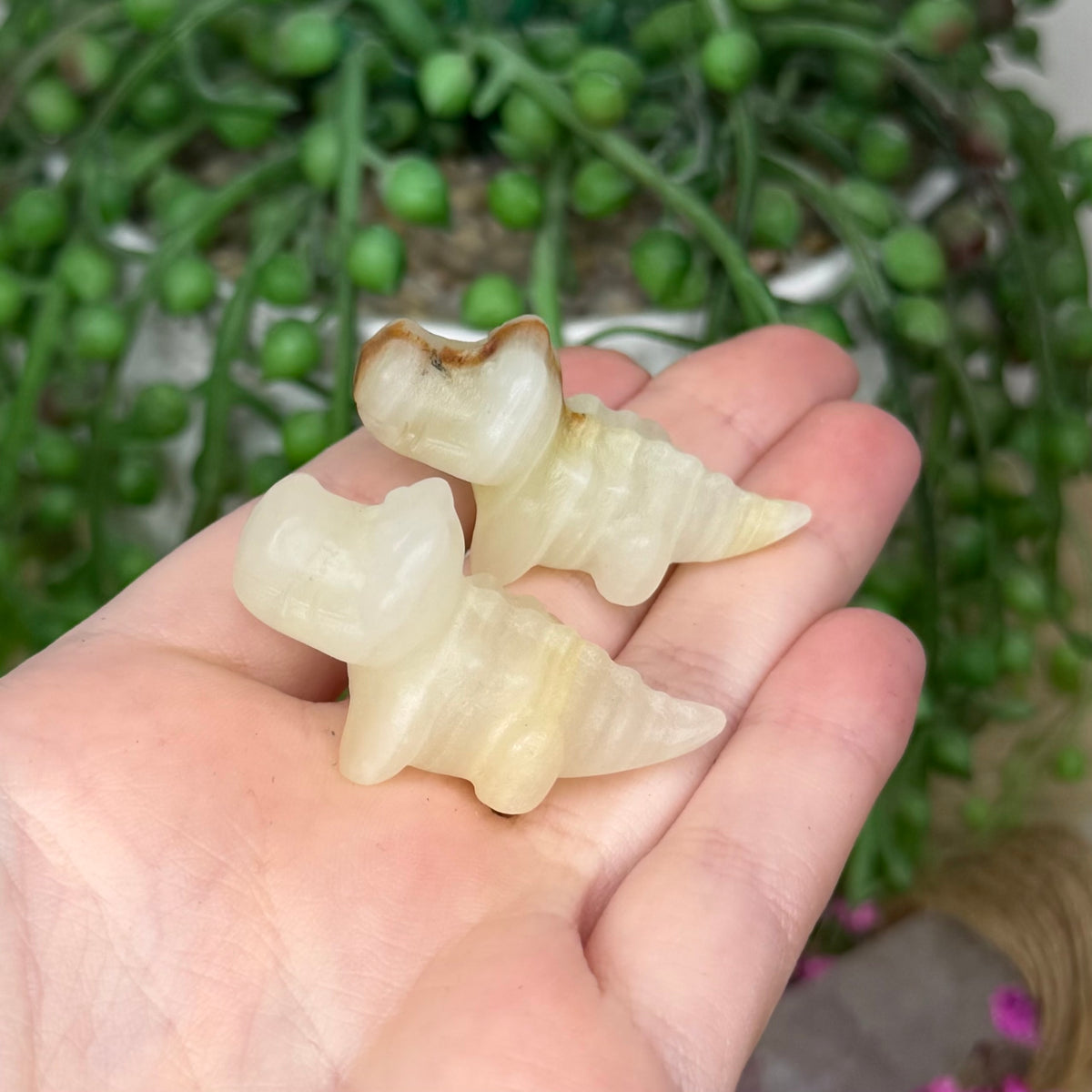 Afghan Jade Mini Crocodile