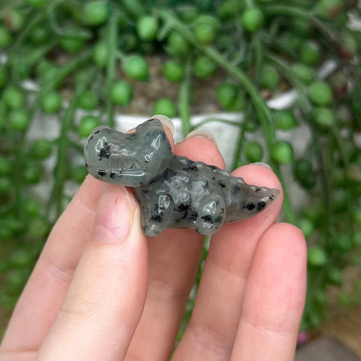 Kiwi Jasper Mini Crocodile