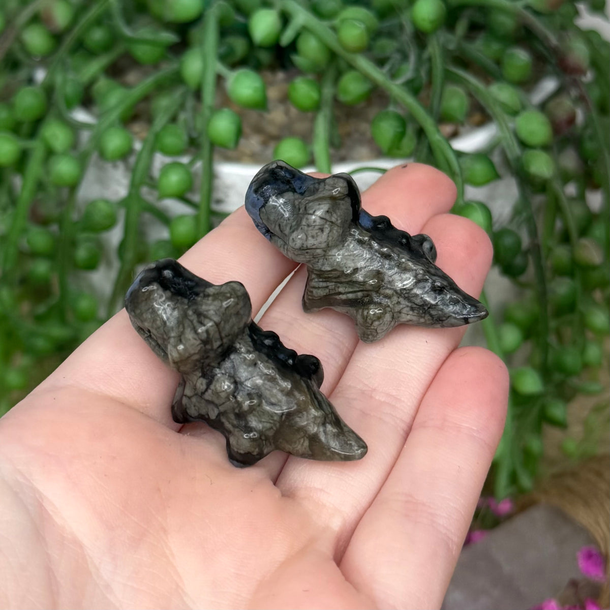 Que Sera Mini Crocodile