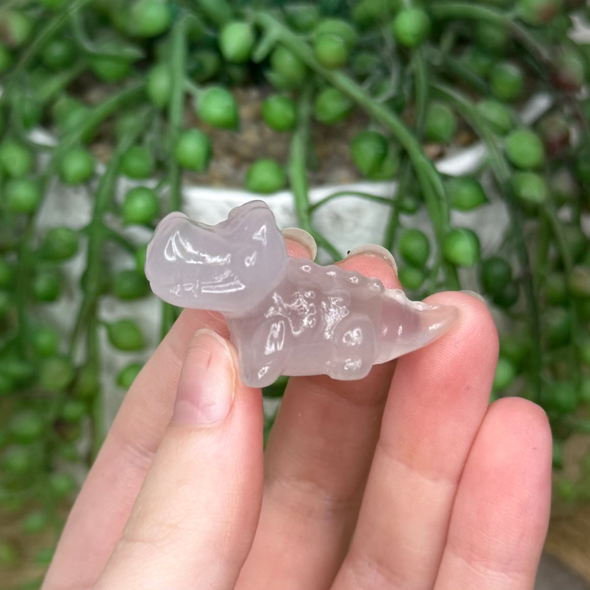 Fluorite Mini Crocodile 1