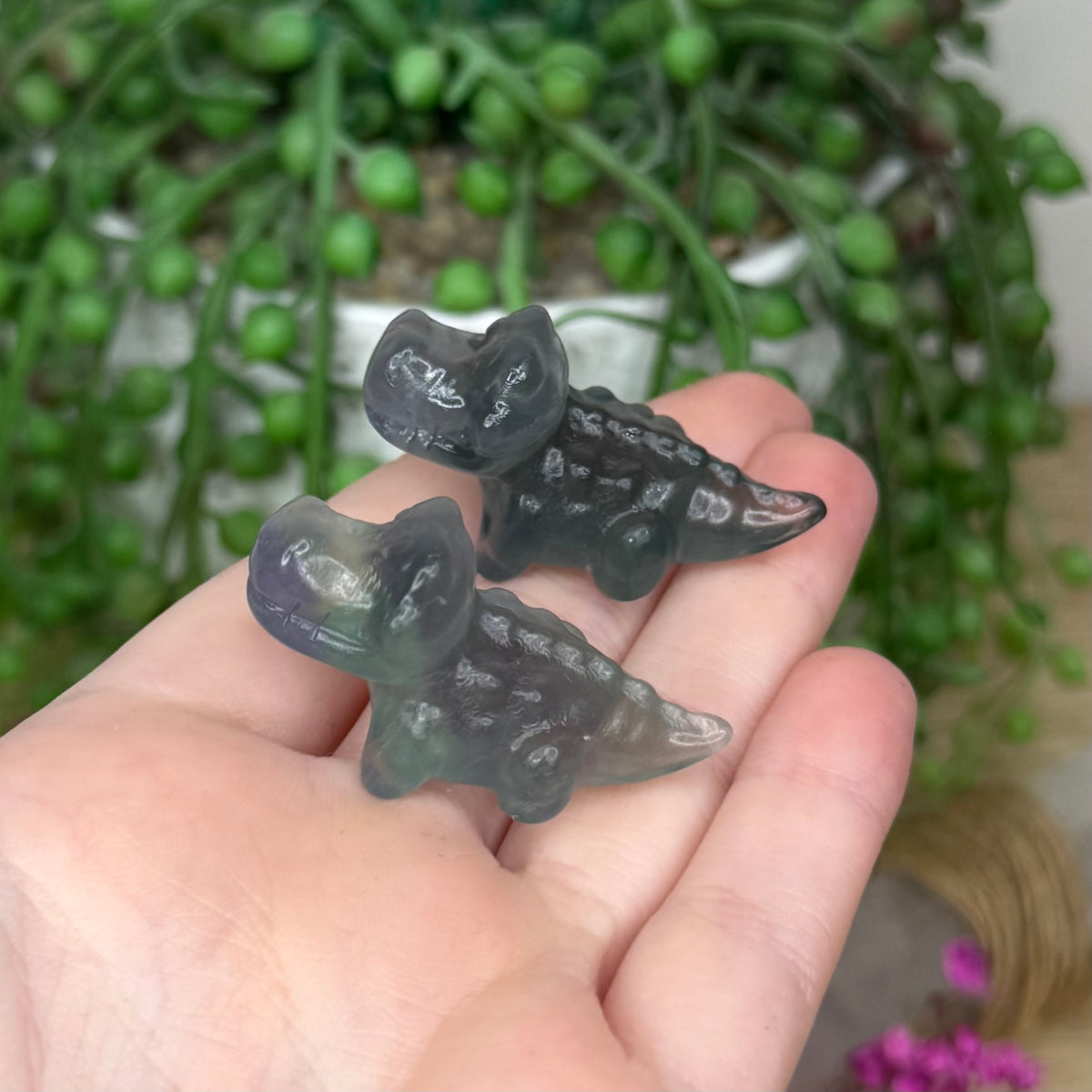 Fluorite Mini Crocodile