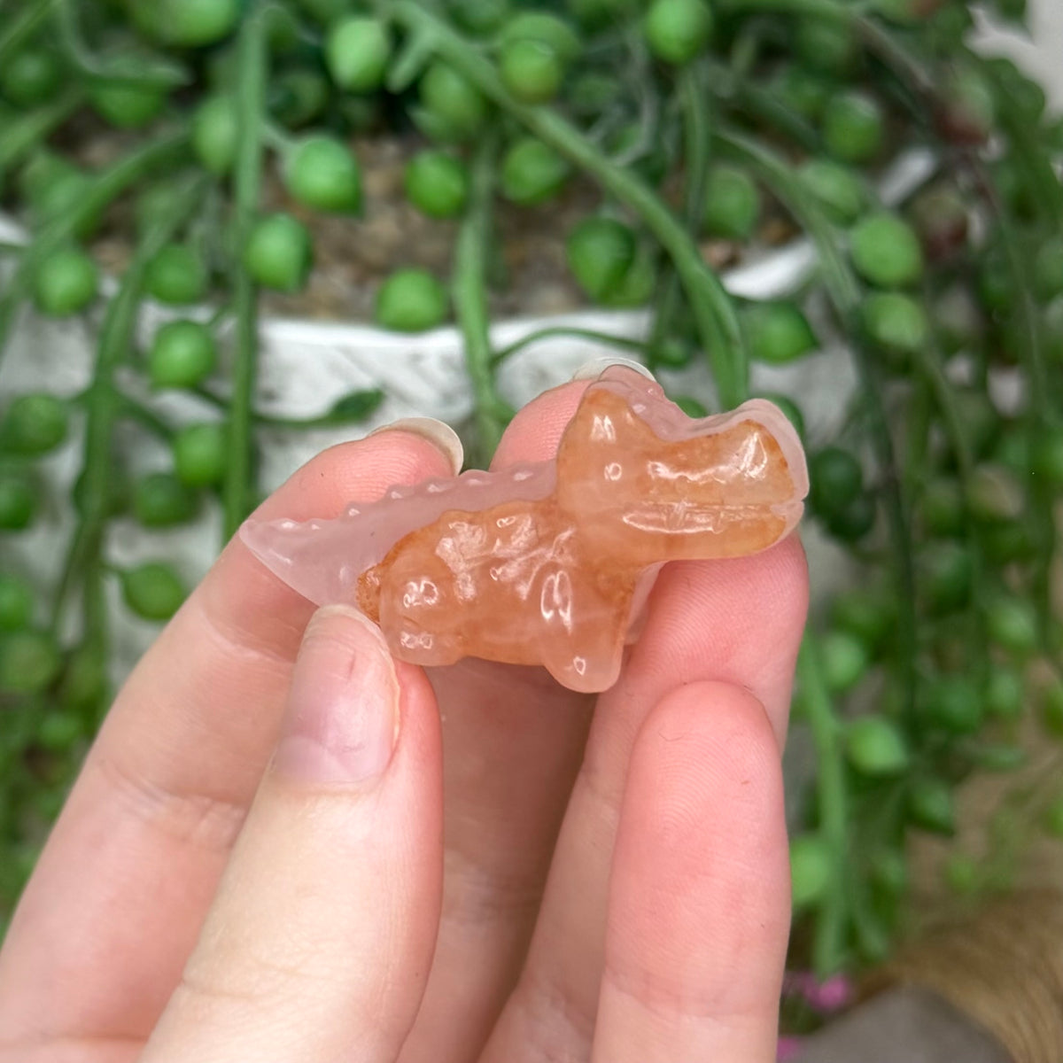 Fire Quartz Mini Crocodile 1