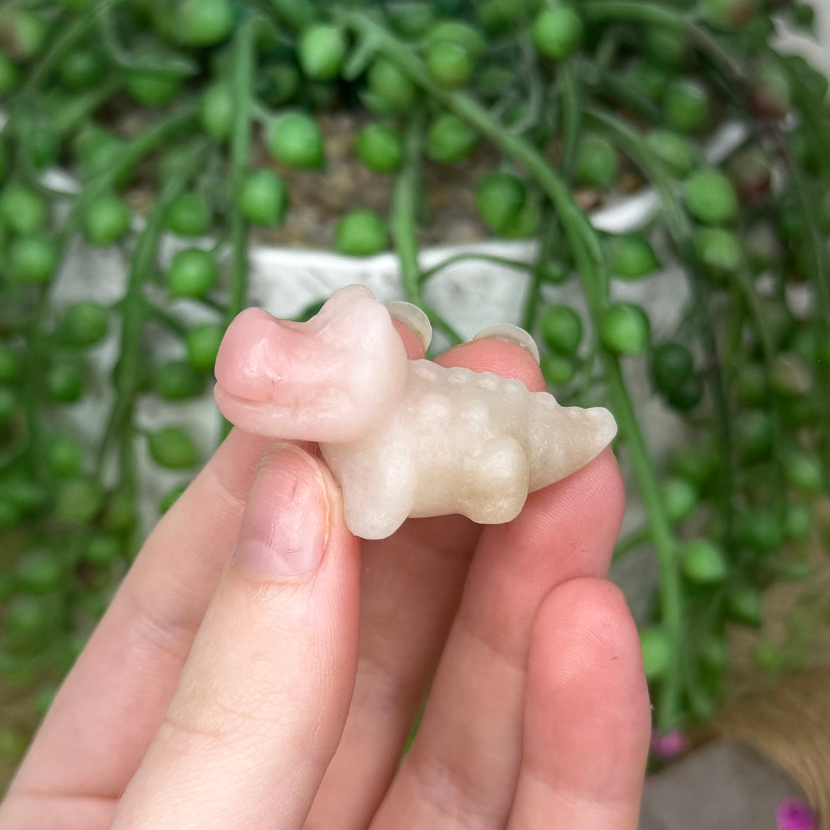 Pink Opal Mini Crocodile 1