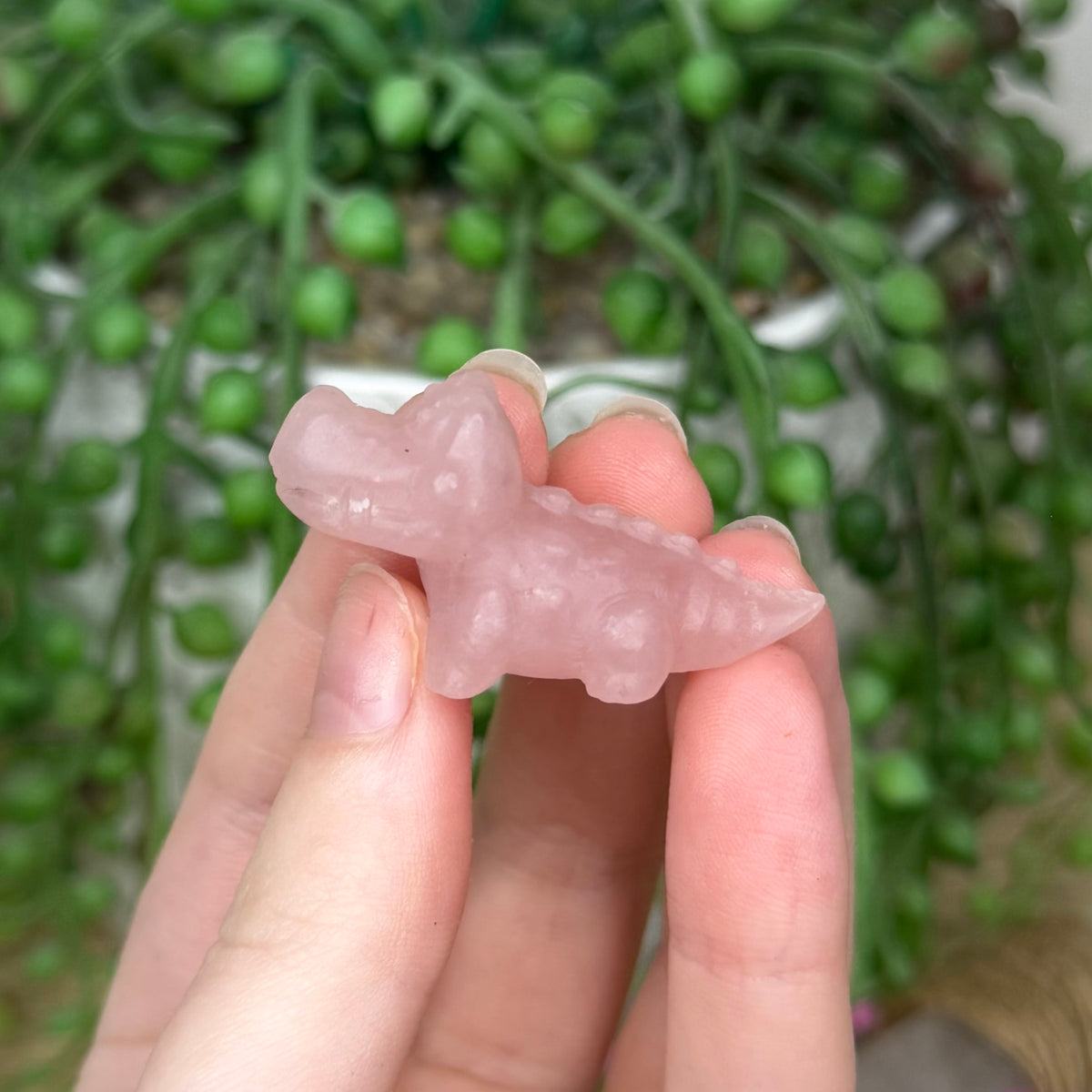 Pink Opal Mini Crocodile 3