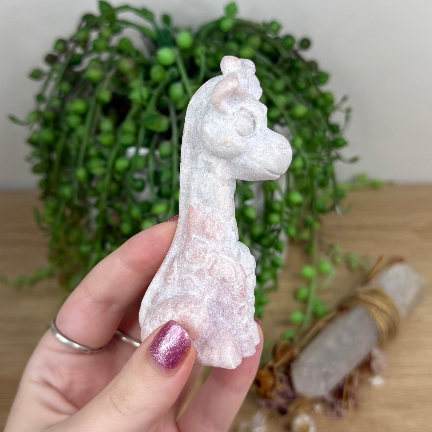 Pink Opal Giraffe (W544)