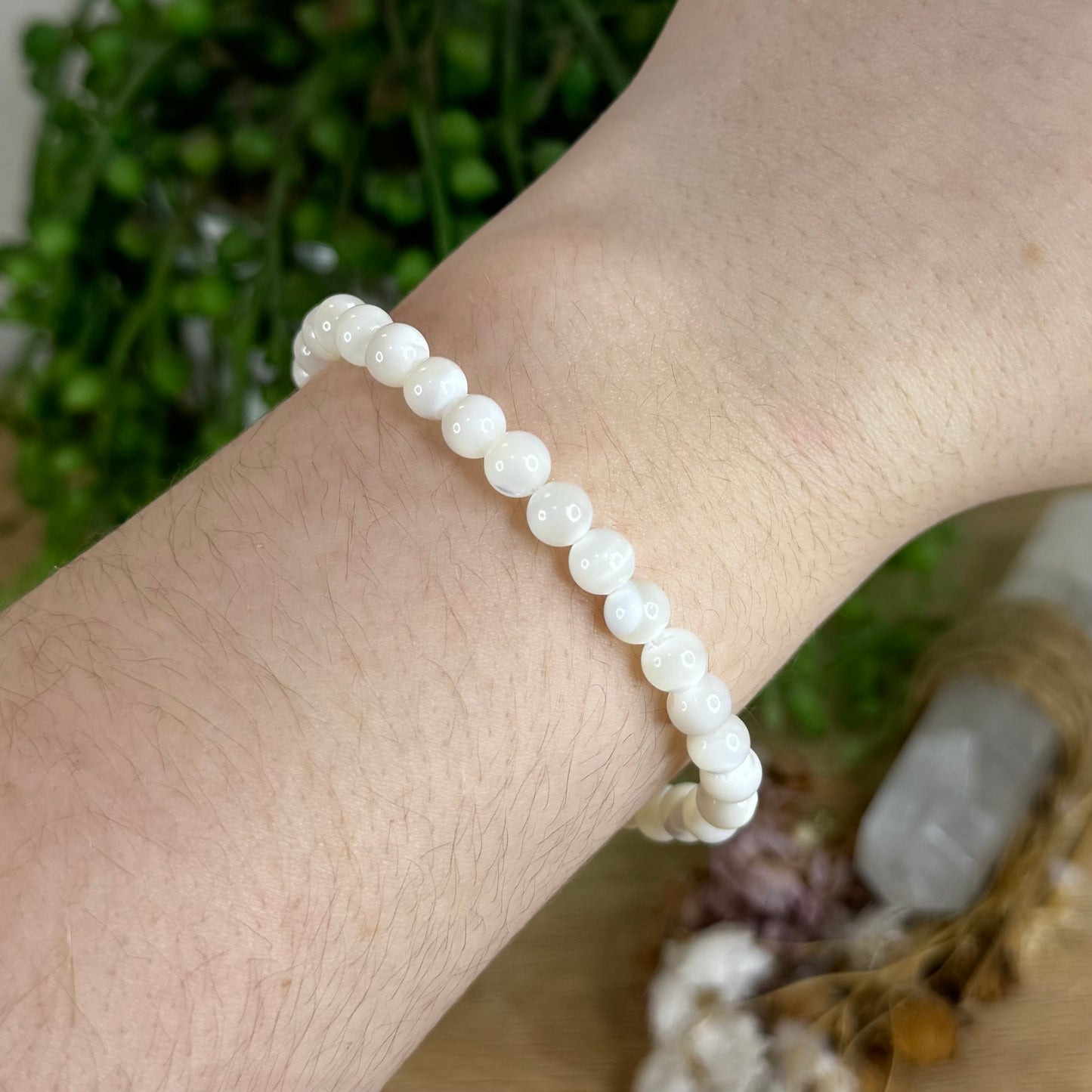Shell Bracelet (P924) (P925)