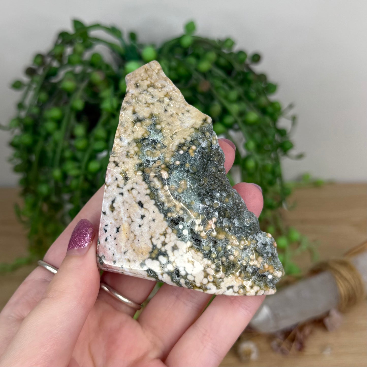 Eighth Vein Ocean Jasper Free Form (W156)