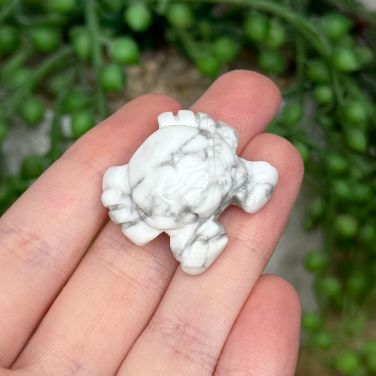 Howlite Small Crab
