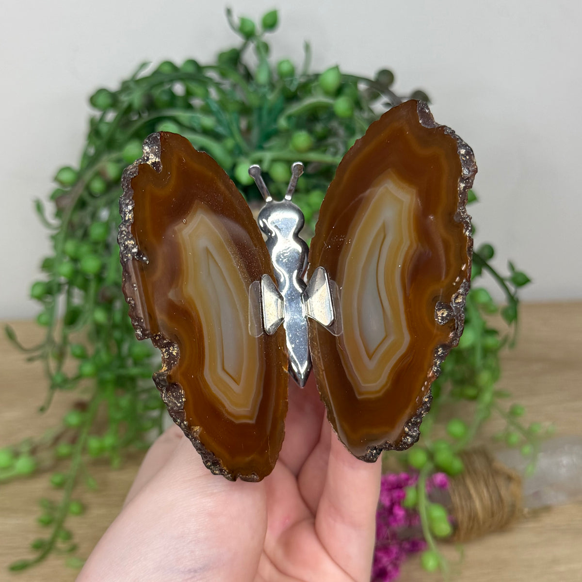 Agate Slice Butterfly (237B)