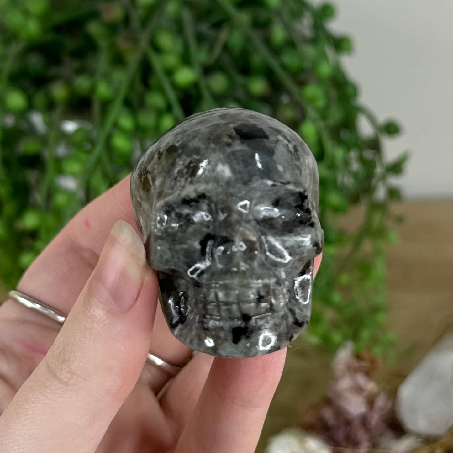 Yooperlite Skull (E387)