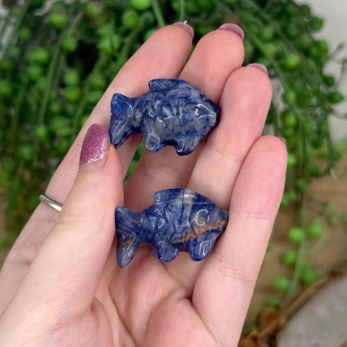 Sodalite Small Fish