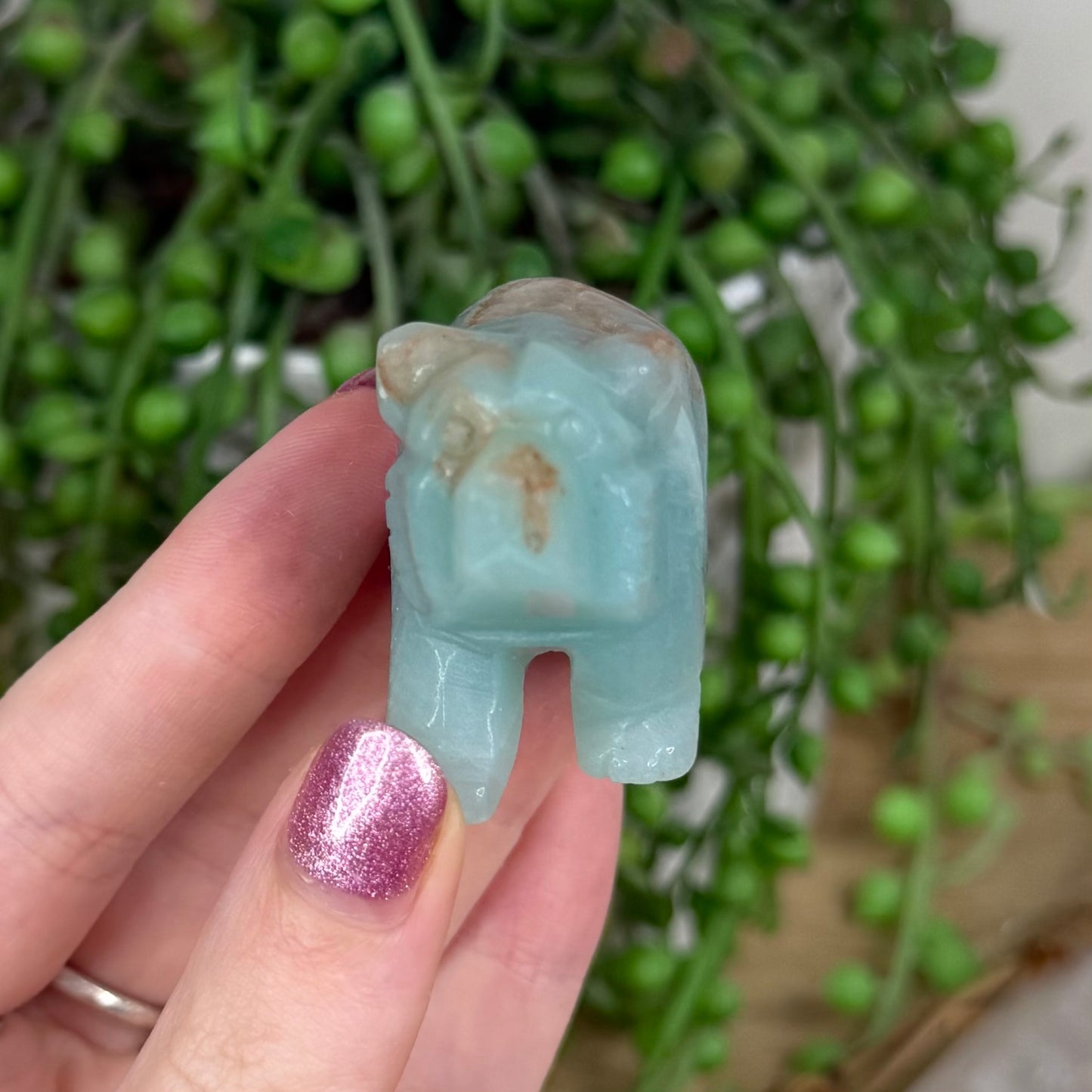 Sky Blue Bear (U983)