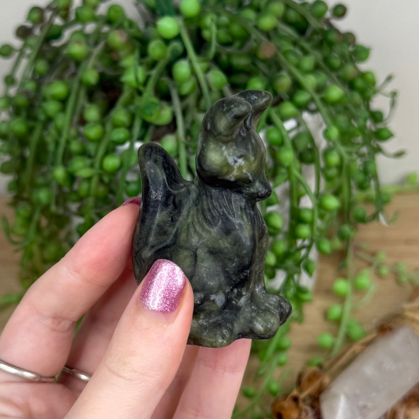 Green Jade Fox (W258)