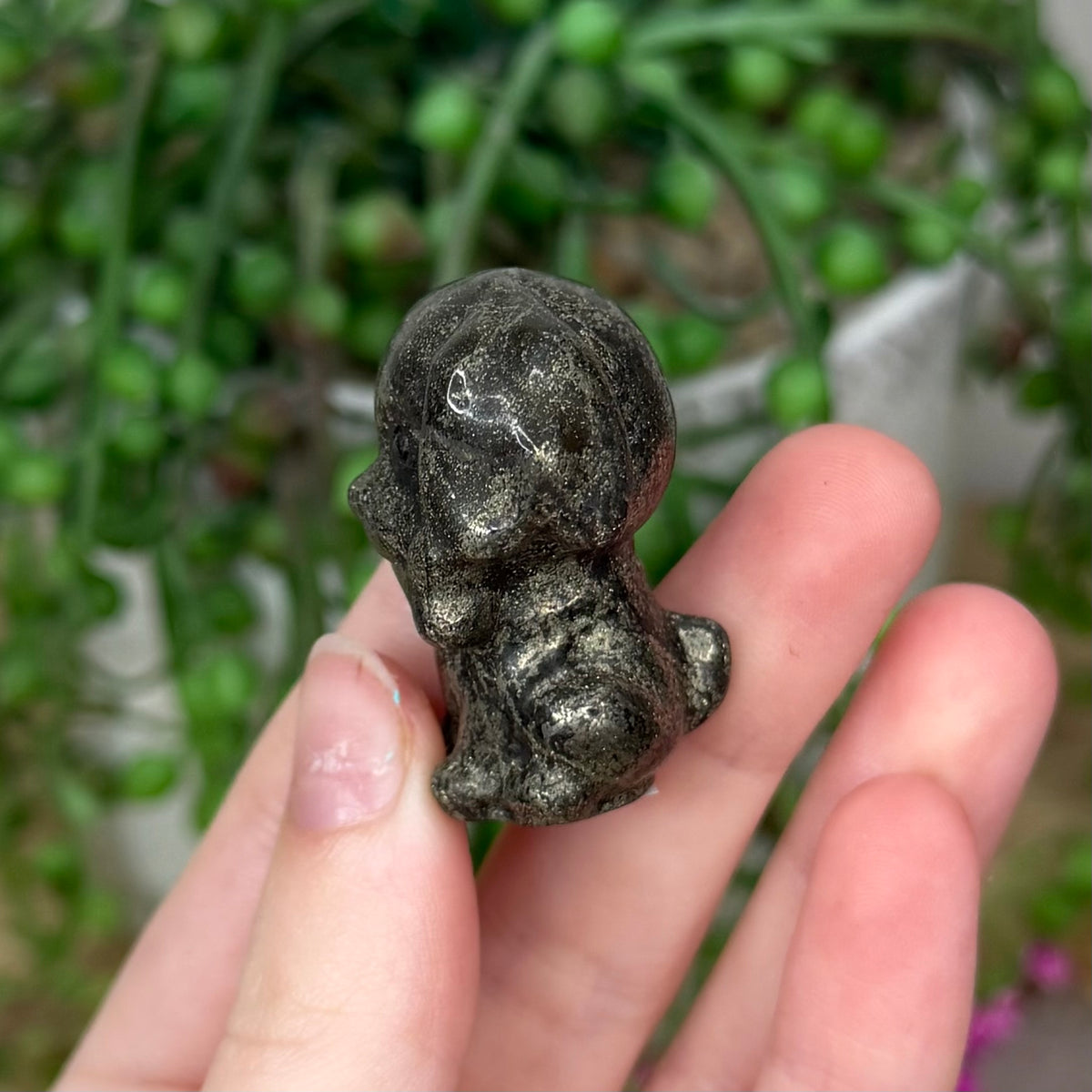 Pyrite Dog (382B)