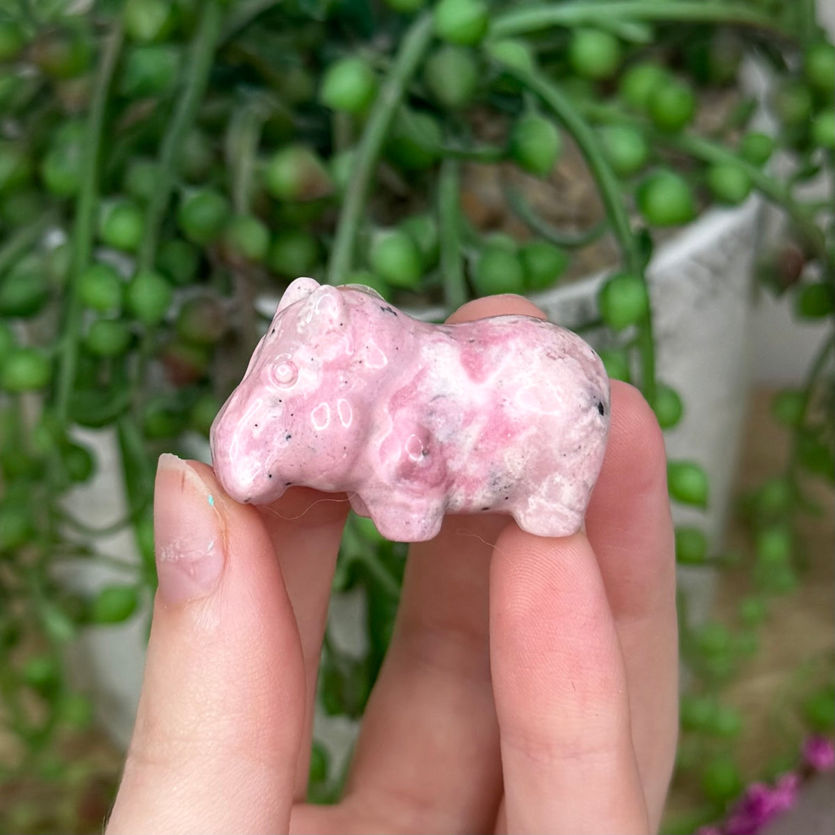 Peruvian Rhodonite Hippo (391B)