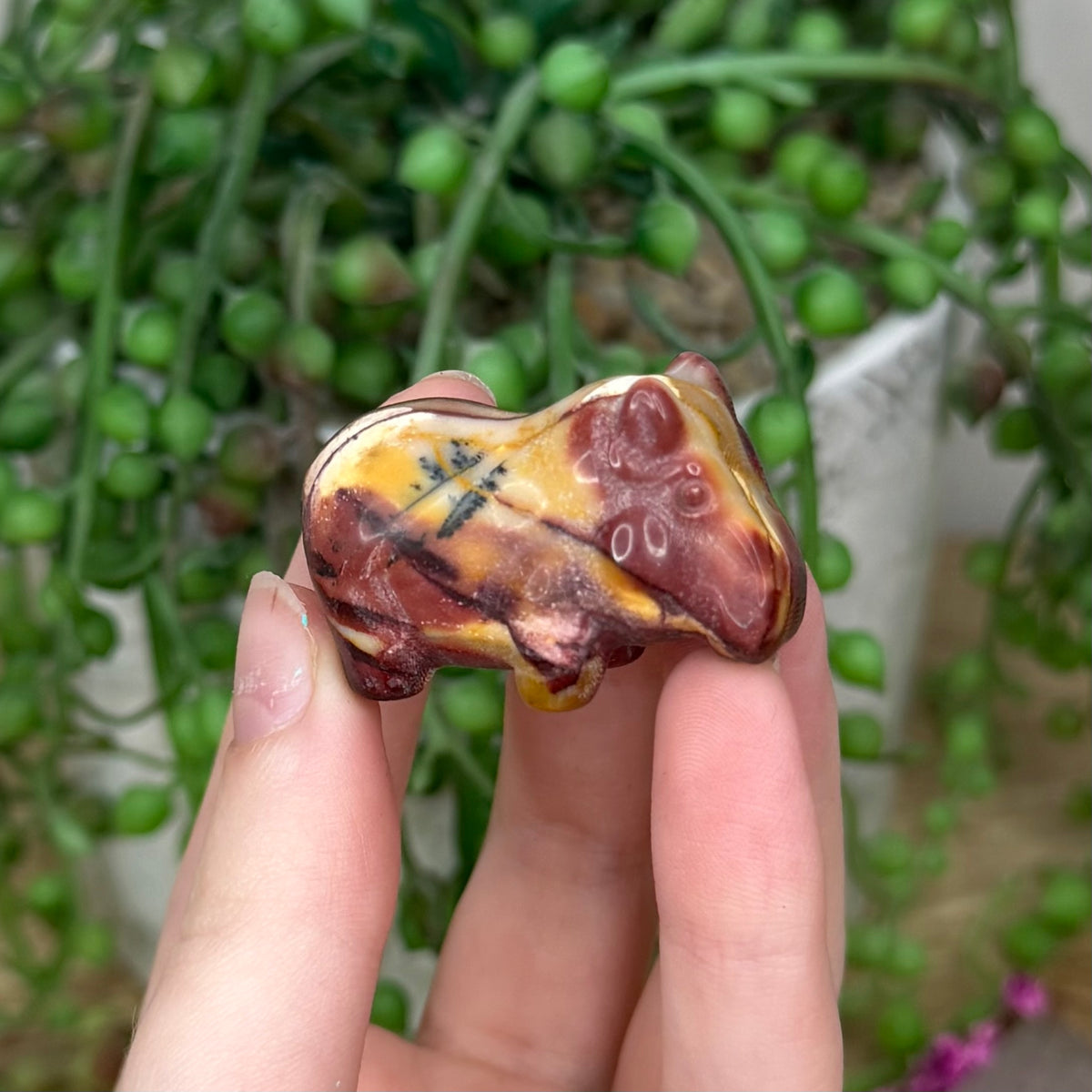 Mookaite Hippo (384B)
