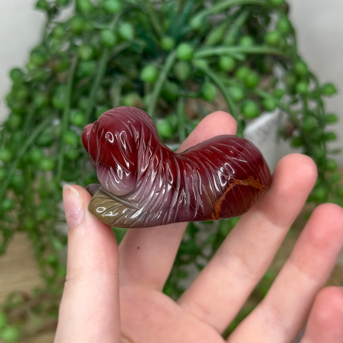Mookaite Dog (321B)