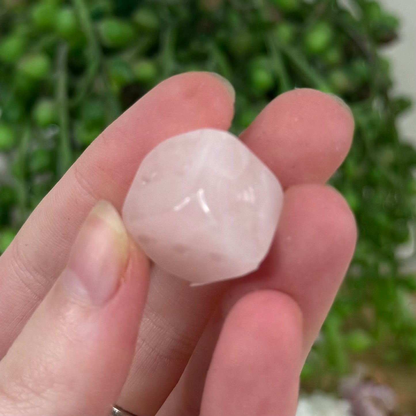 Rose Quartz Dice (M384) (M383)