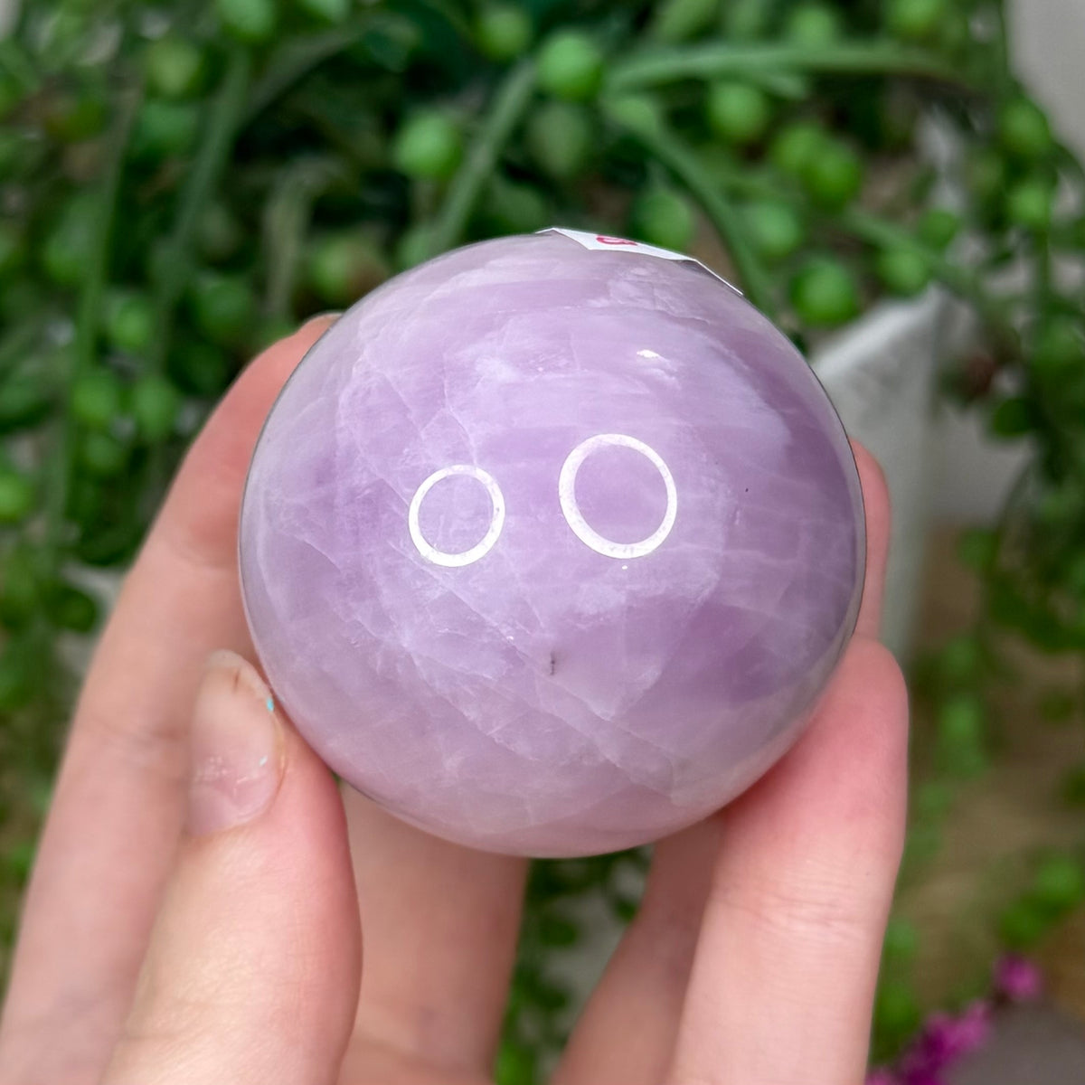 Kunzite Sphere (404B)
