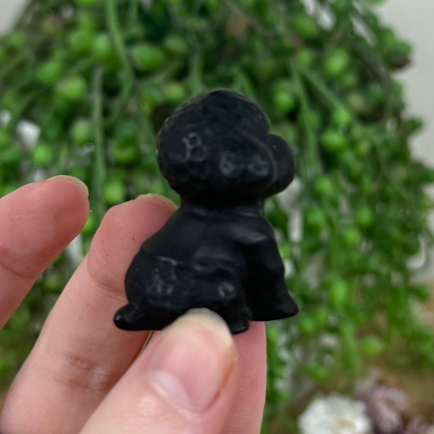 Black Obsidian Poodle (M423)