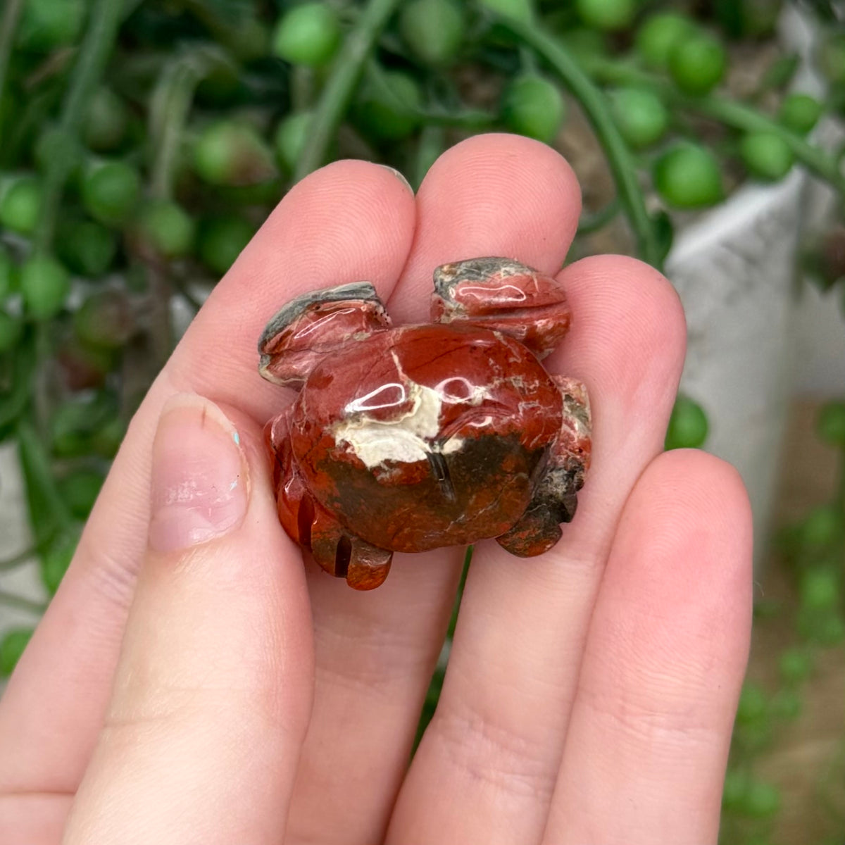 Red Jasper Small Crab