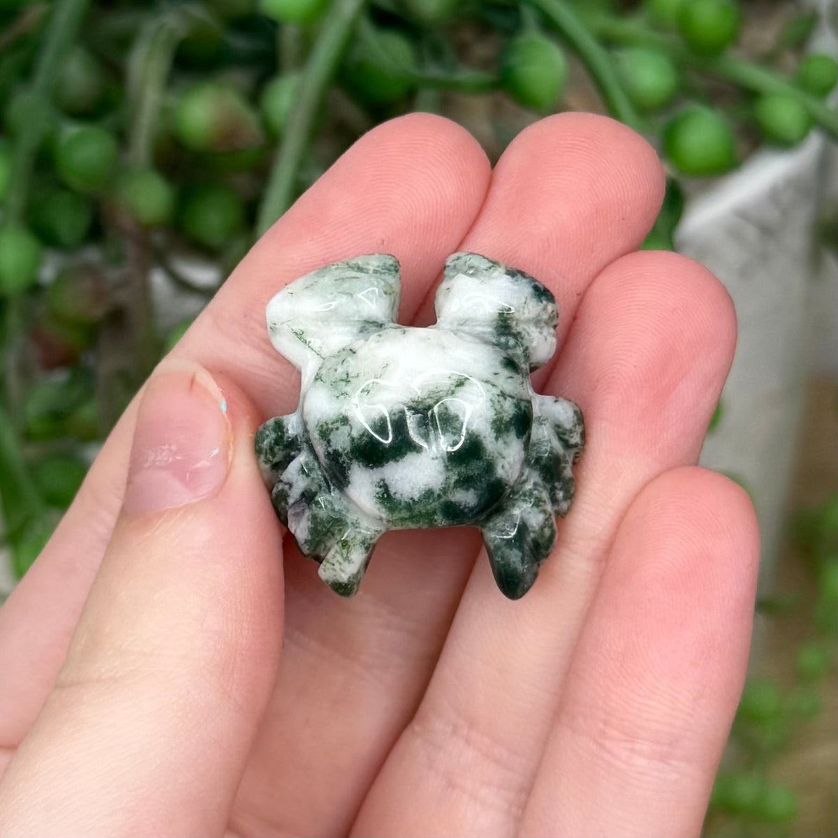 Moss Agate Small Crab