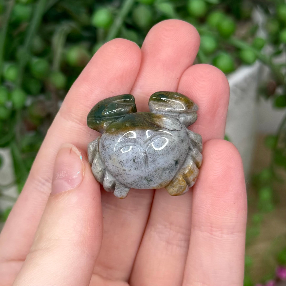 Ocean Jasper Small Crab