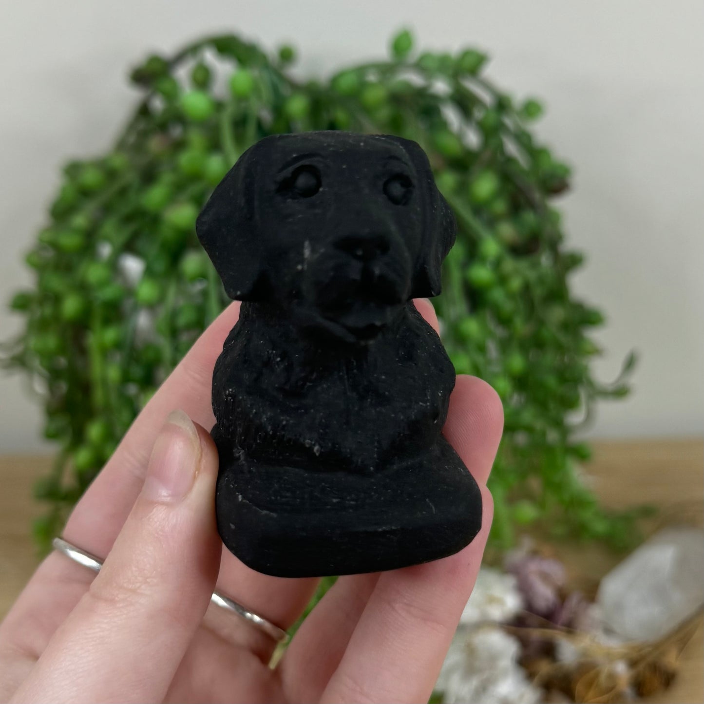 Black Obsidian Dog (M602)