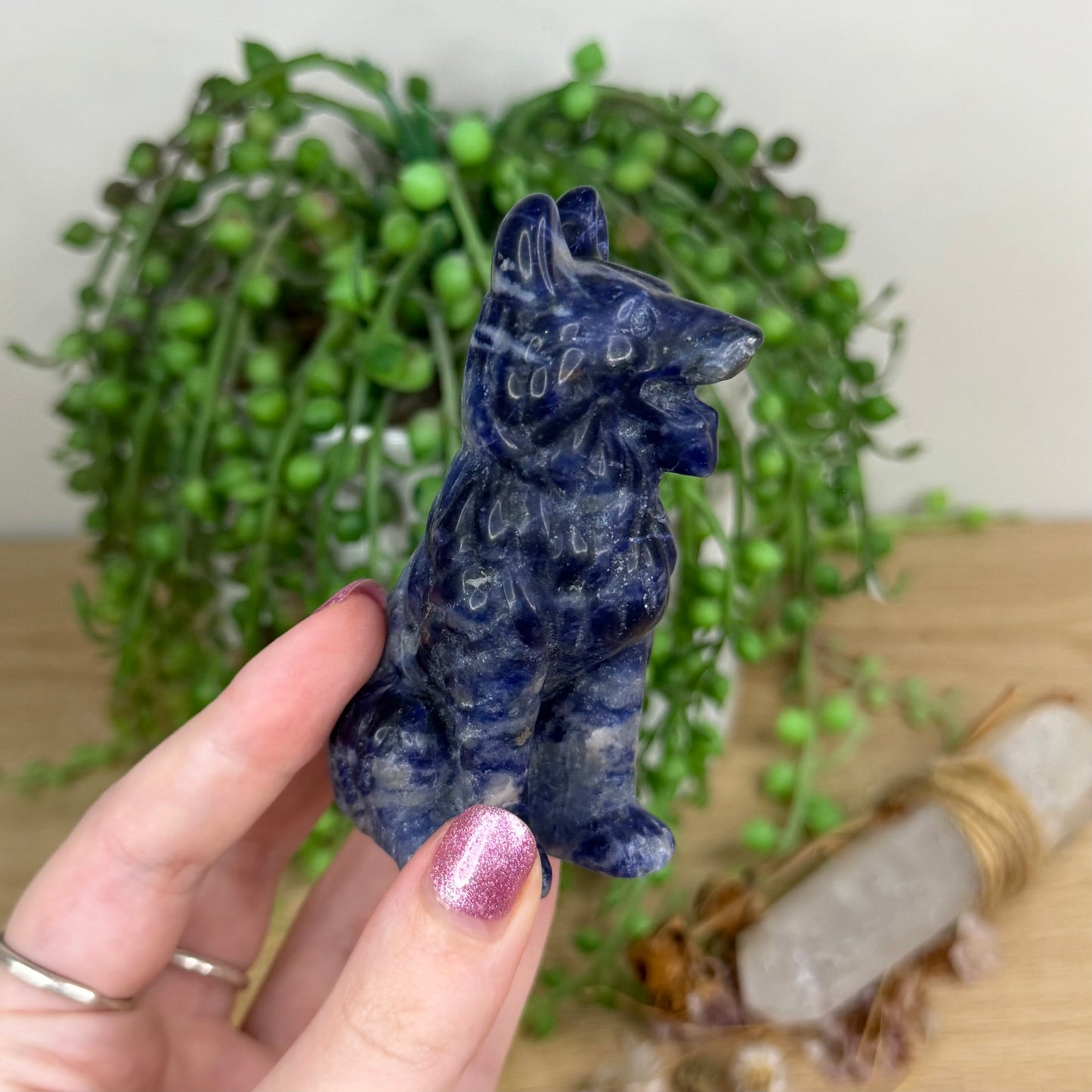 Sodalite German Shepherd (W272)