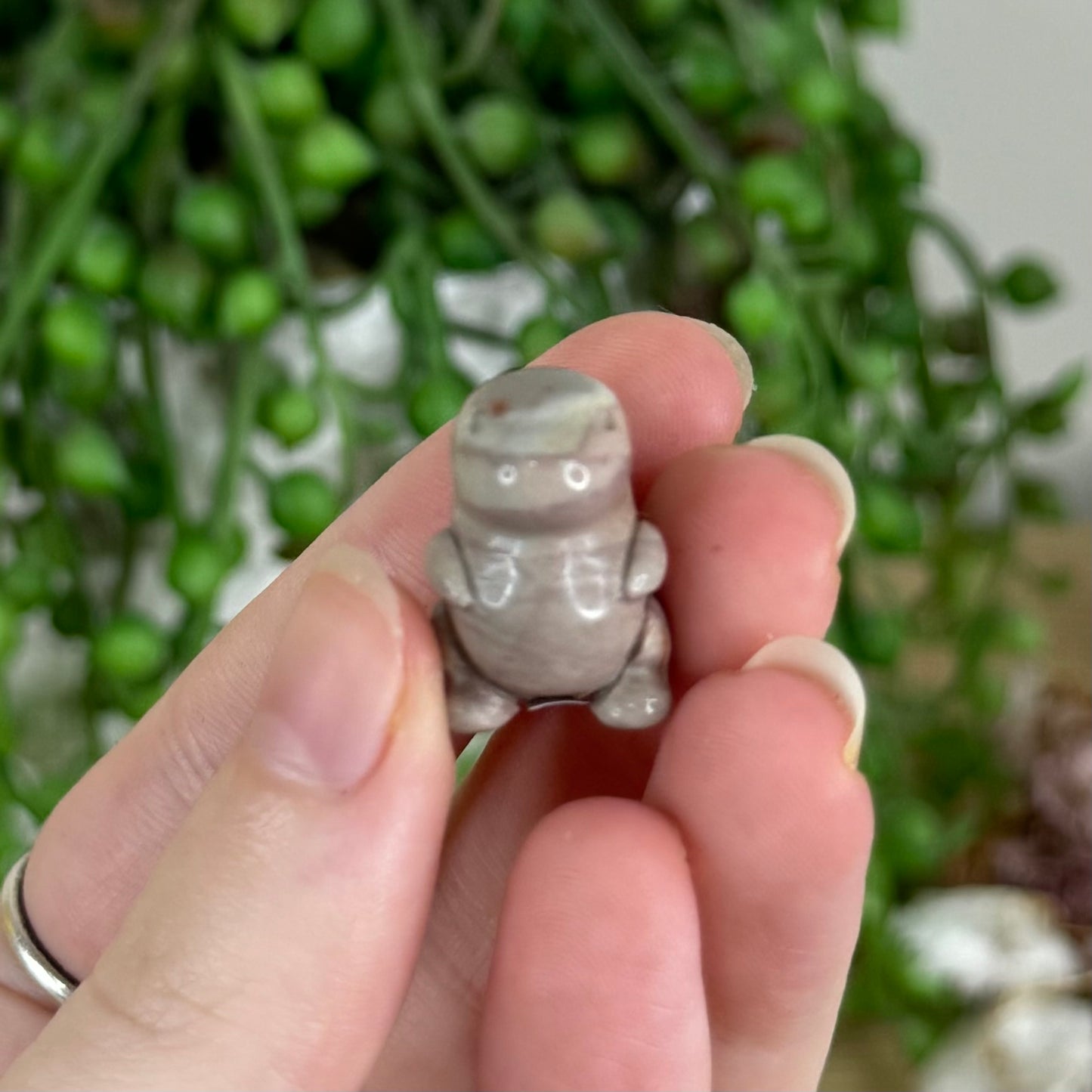 Alashan Mini Chubby Dino 3