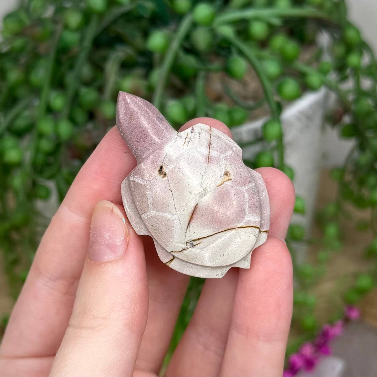 Picture Stone Jasper Turtle (213B)