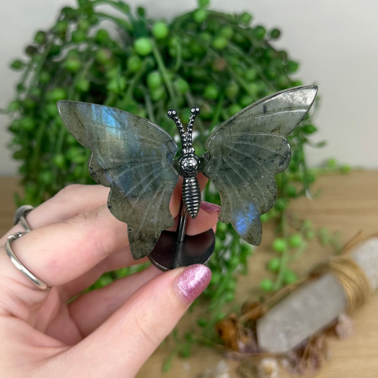 Labradorite Butterfly Wings On Stand (W55)
