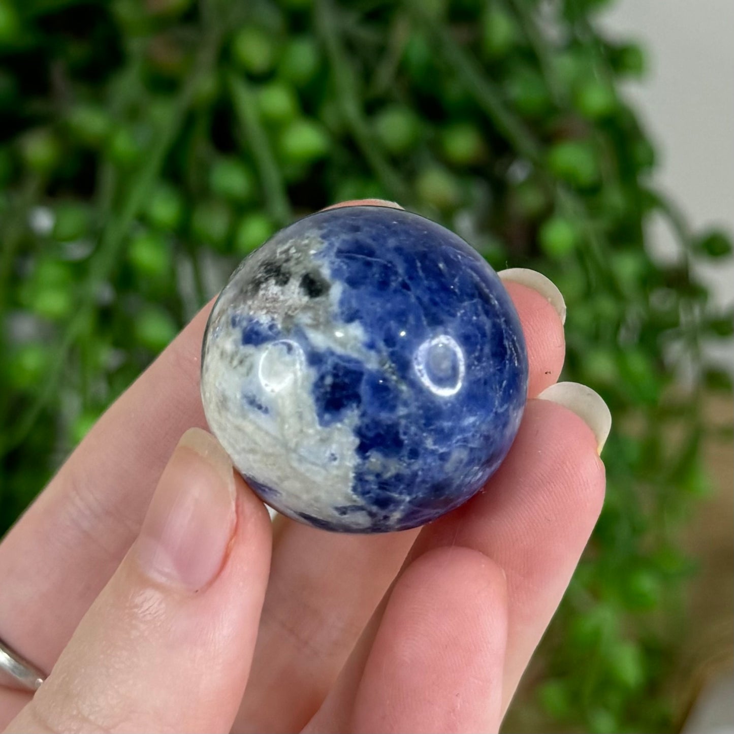 Sodalite Sphere (Q799)