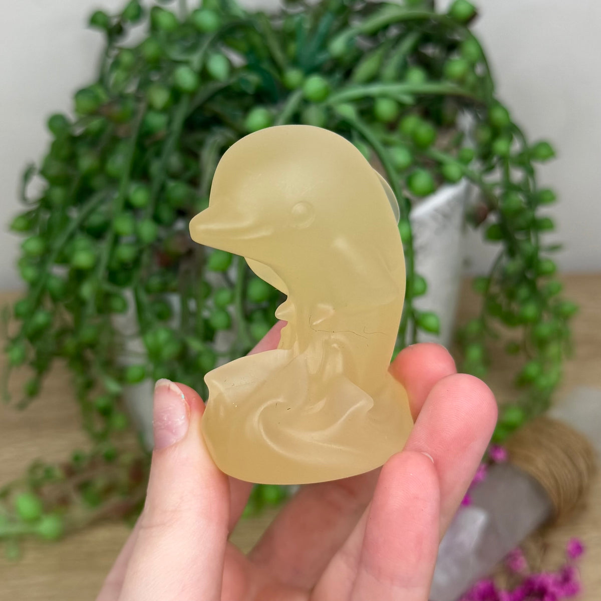 Citrine Dolphin (313B)