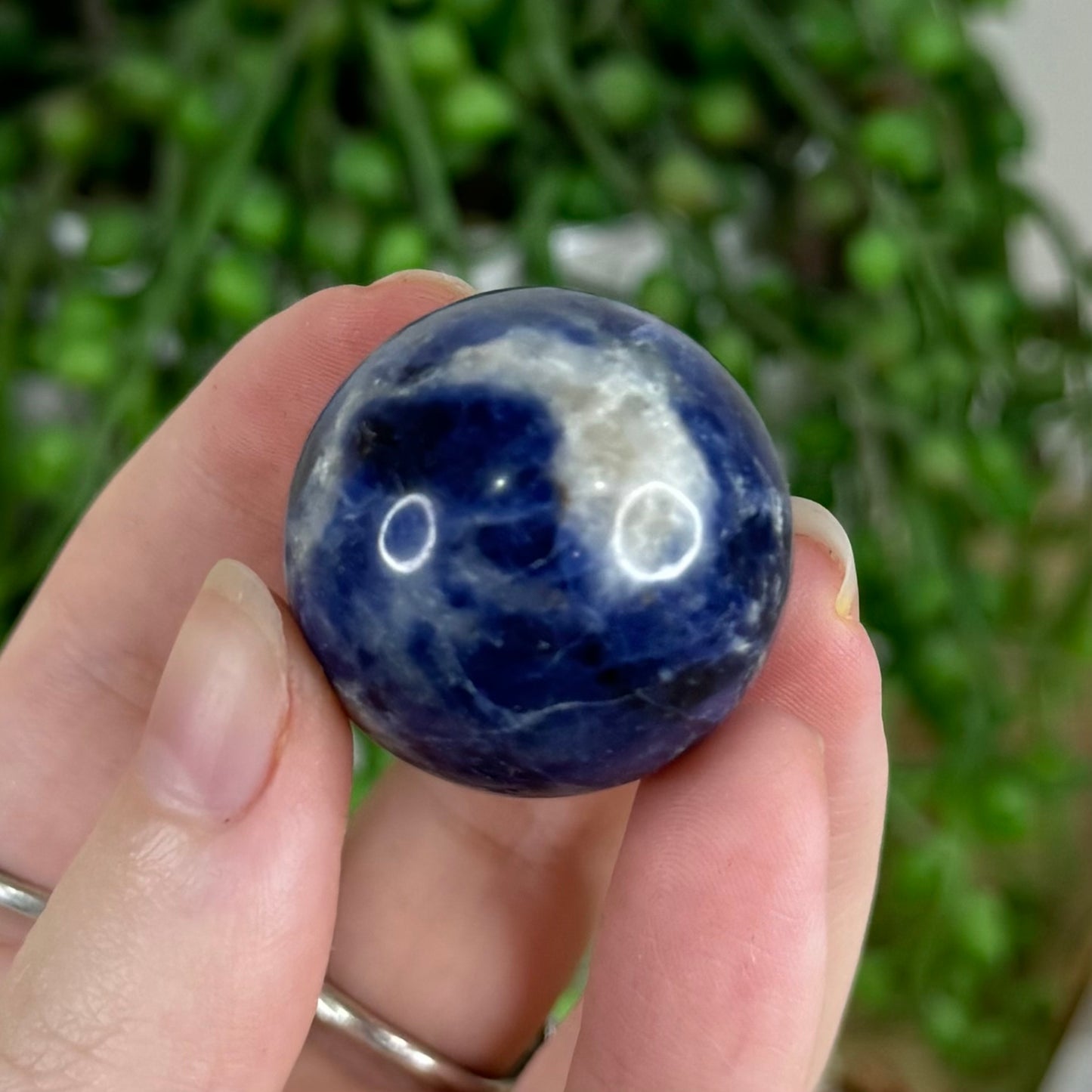 Sodalite Sphere (Q794)