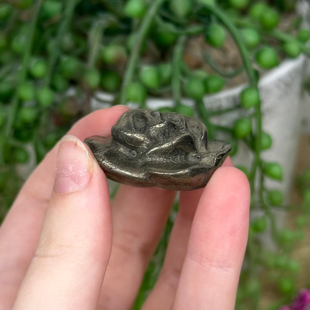 Pyrite Flower (127B) (129B)
