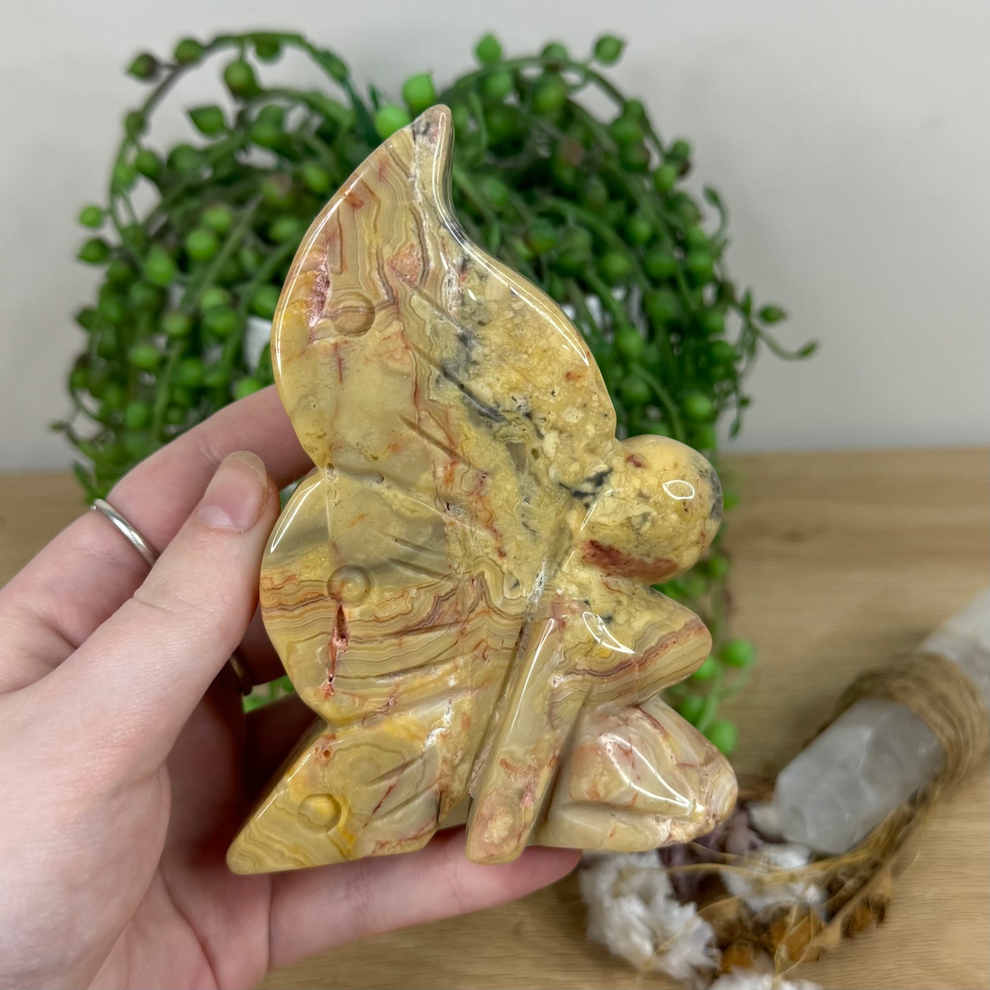 Crazy Lace Agate Pixie (N56)