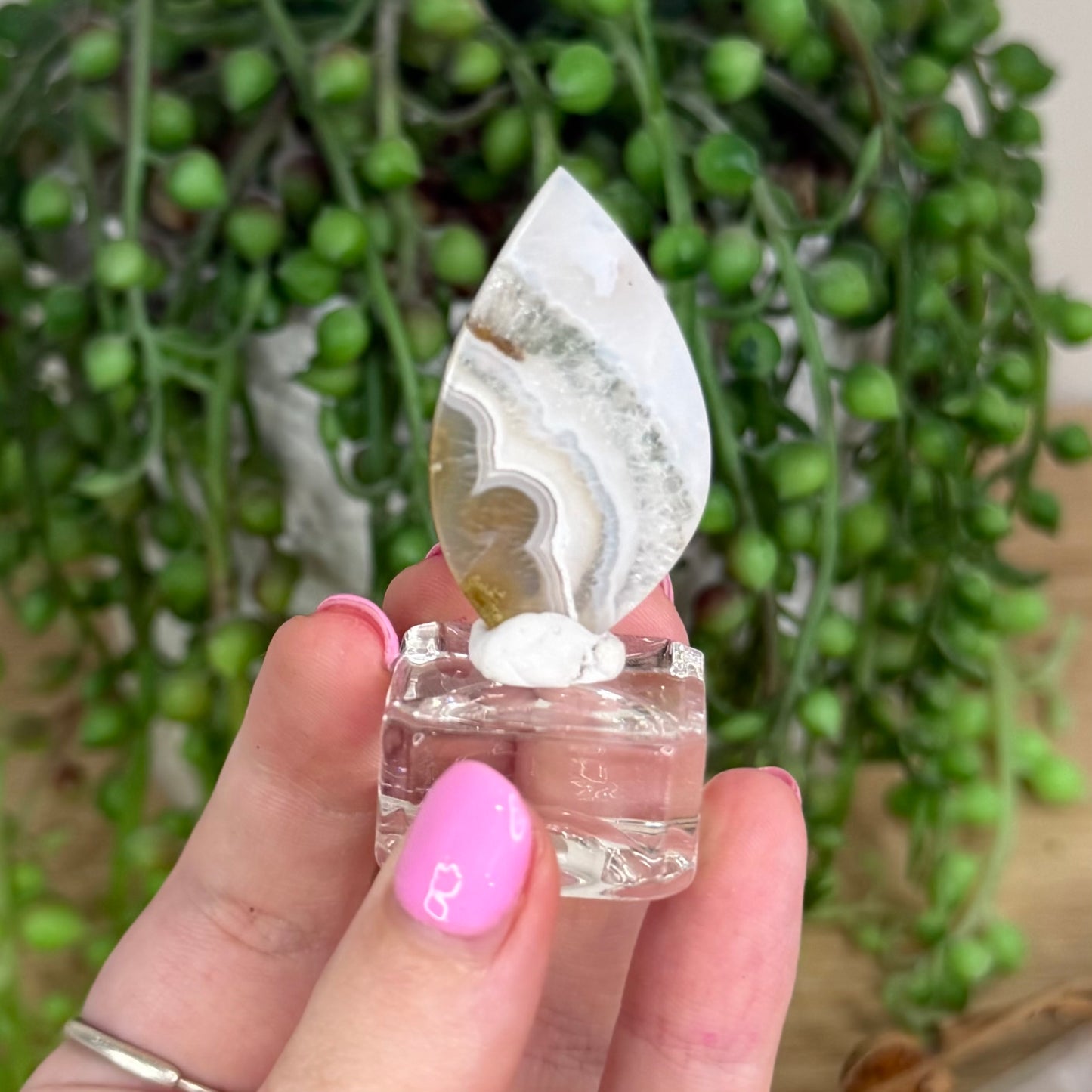 Scenic Moss Agate Cabochon 6