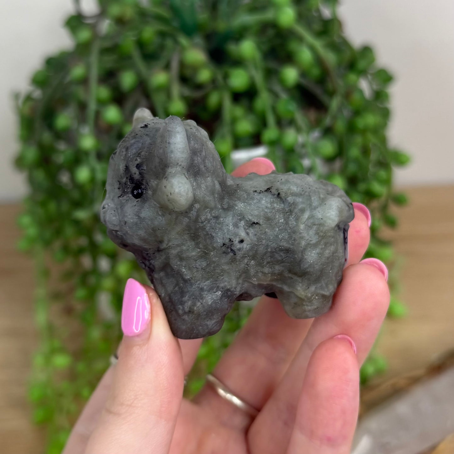 Labradorite Highland Cow (X159)