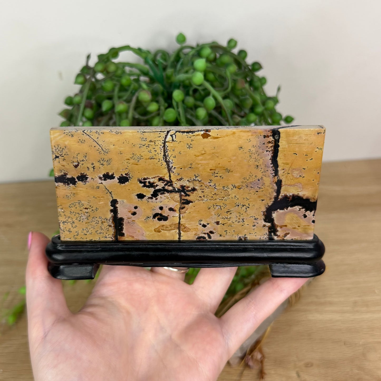 Picture Stone Jasper Slab On Stand (X233)