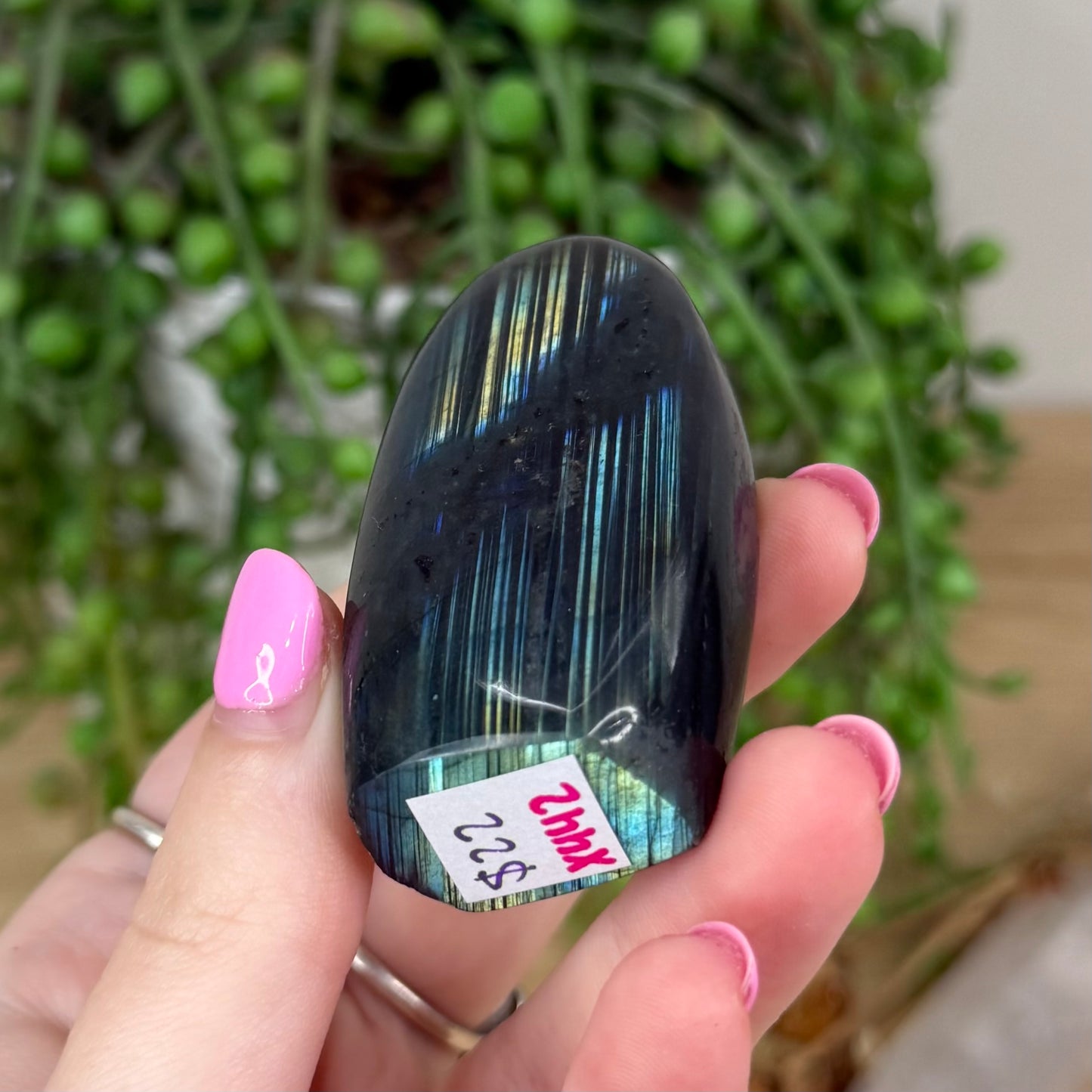 Labradorite Free Form (X442)