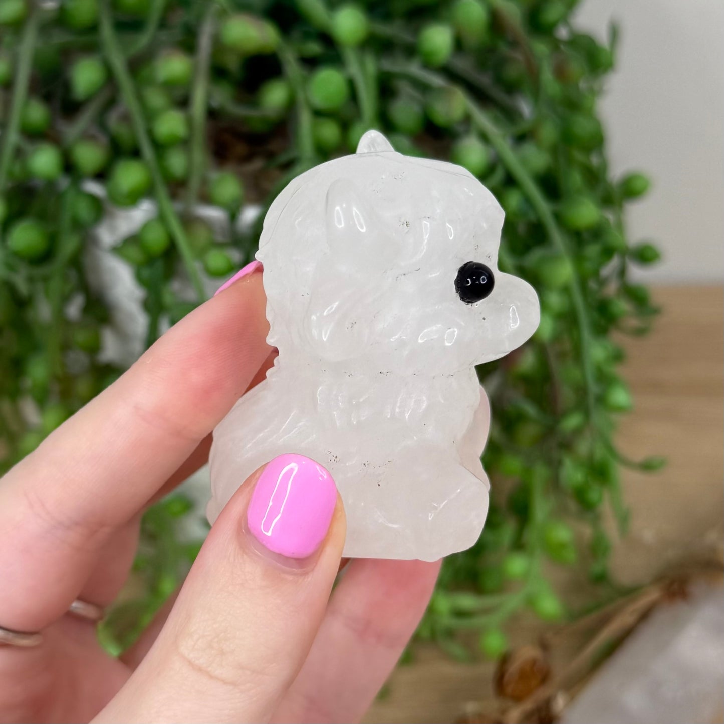 Clear Quartz Sitting Highland Cow (X399)