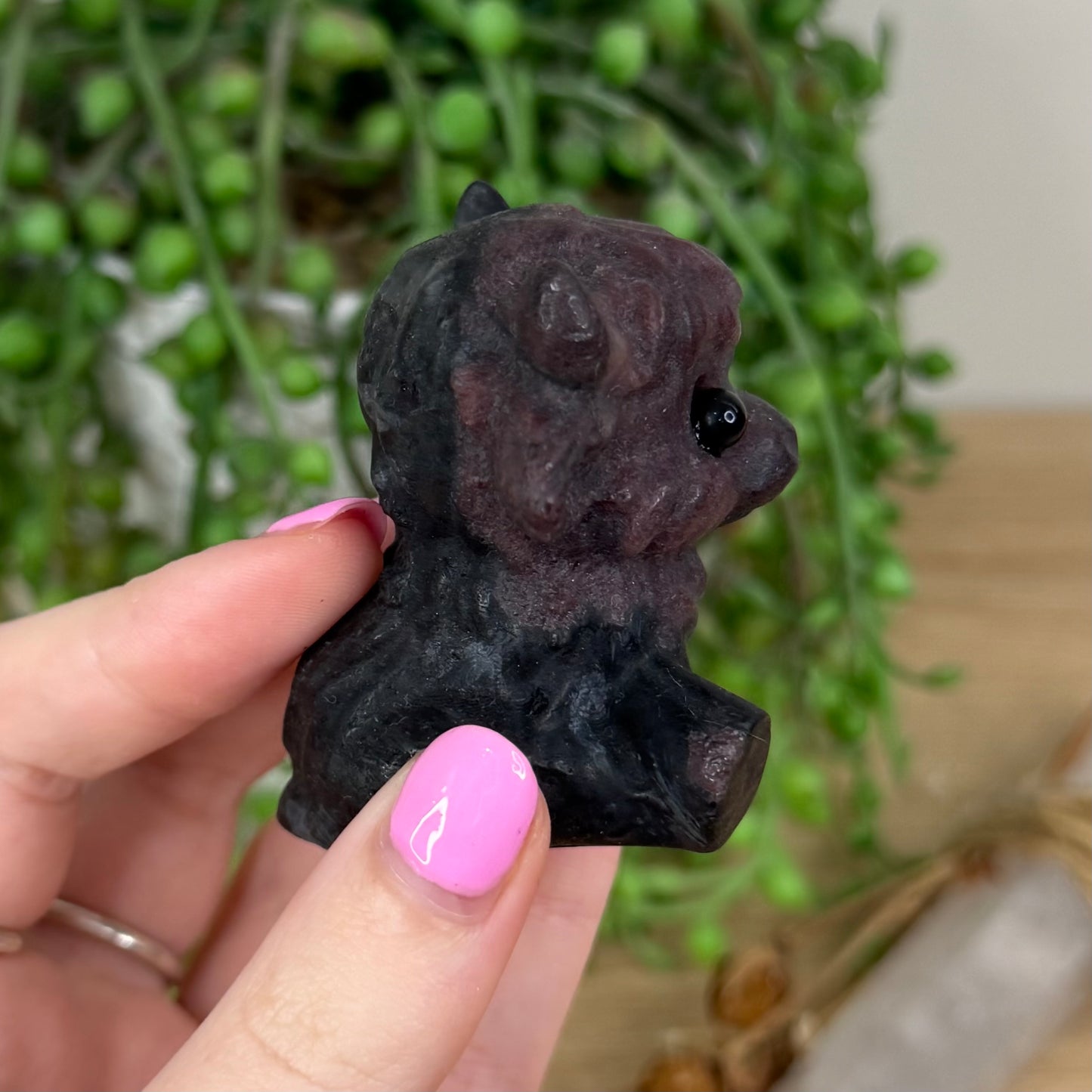 Garnet Sitting Highland Cow (X394)